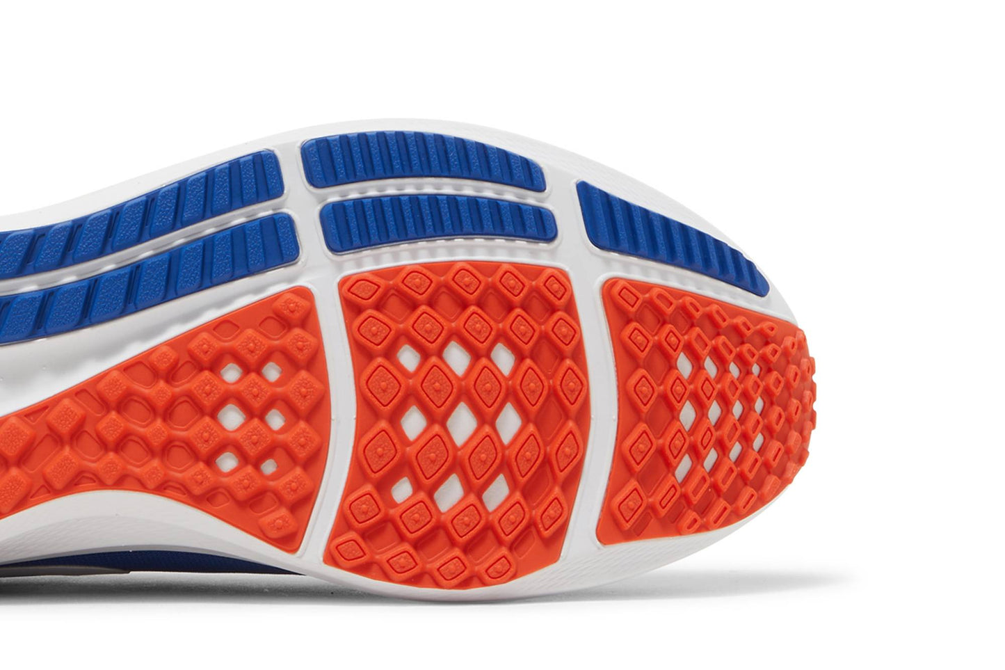 Nike Air Zoom Pegasus 39 Florida Gators DR1962-400