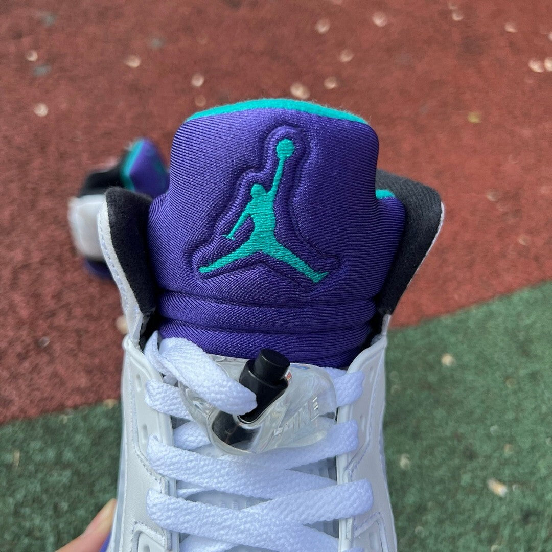 Air Jordan 5 Retro GS Grape Ice 440888-105