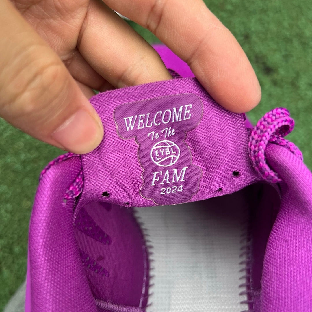 Nike Kobe 8 Protro Court Purple White FJ9364-500