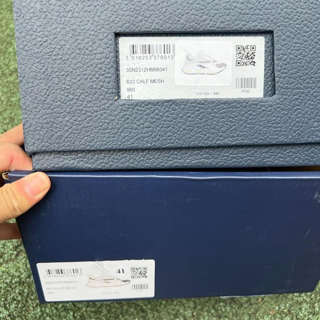 Dior B22 Sneaker White Grey