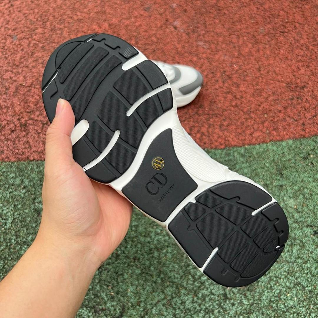 Dior B22 Sneaker White Grey