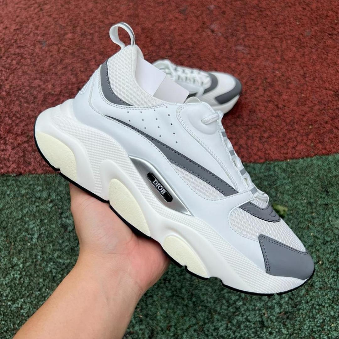 Dior B22 Sneaker White Grey