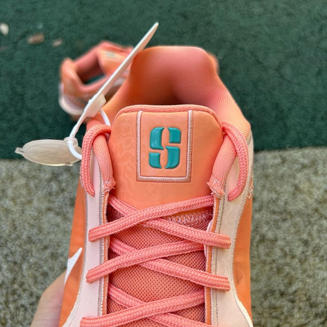Nike Kobe 6 Protro Salmon