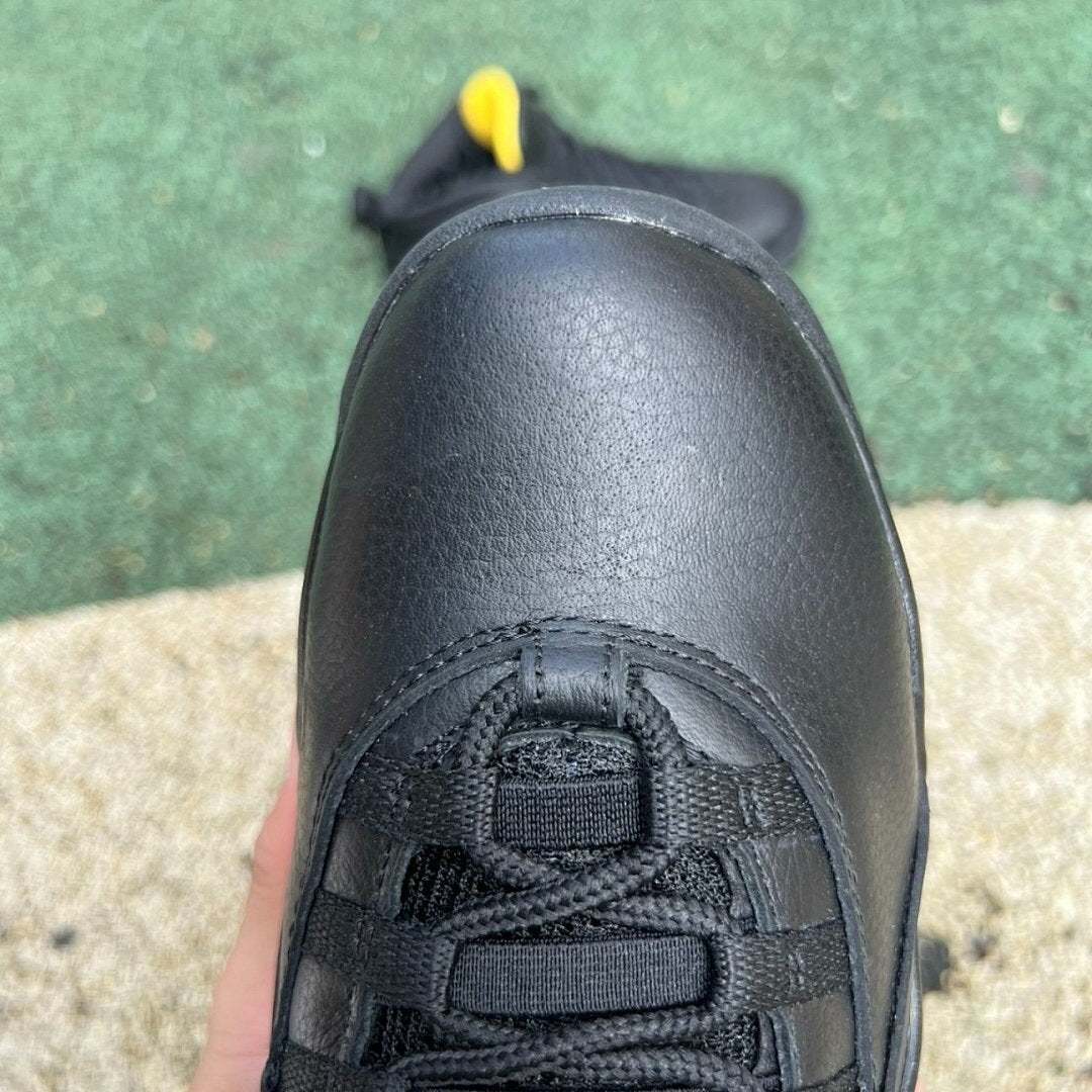 Air Jordan 10 Retro Yellow Ochre 310805-006