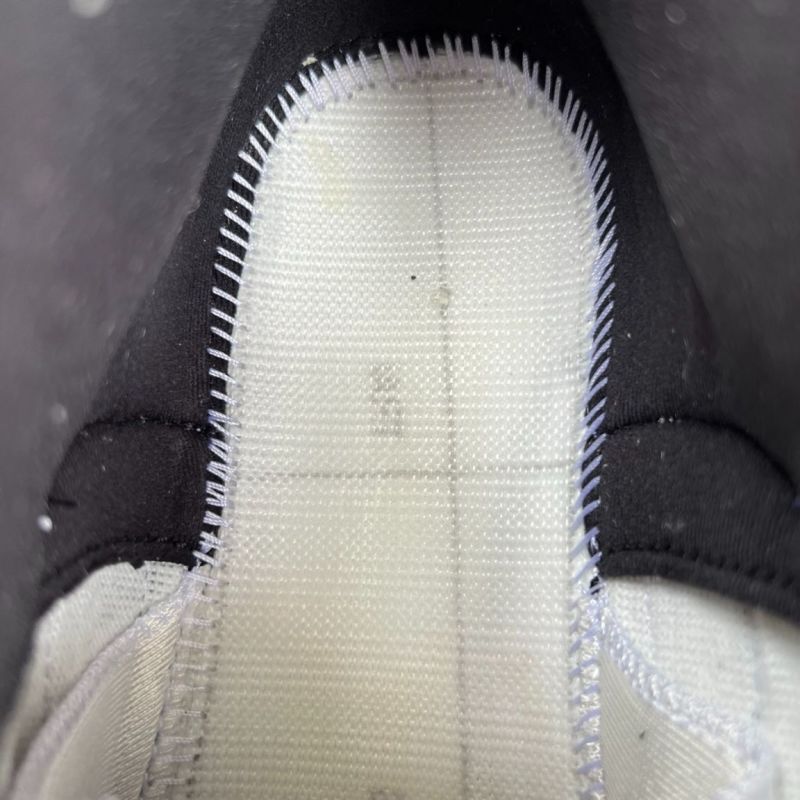 Air Jordan 12 Royalty CT8013-170