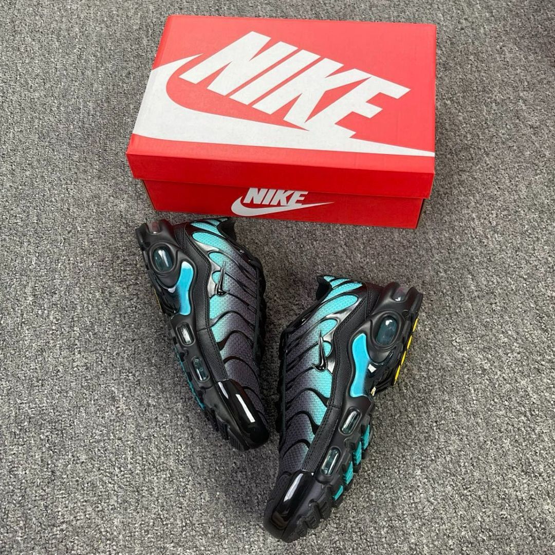 Nike Air Max Plus Black Lagoon Pulse DM0032-002