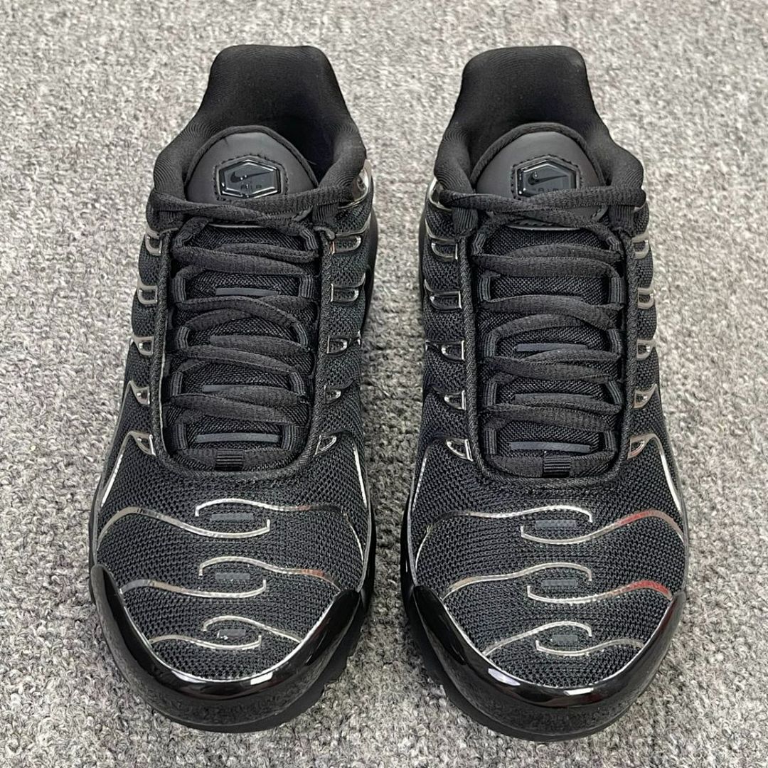 Nike Air Max Plus Black Metallic Silver CD06094-001