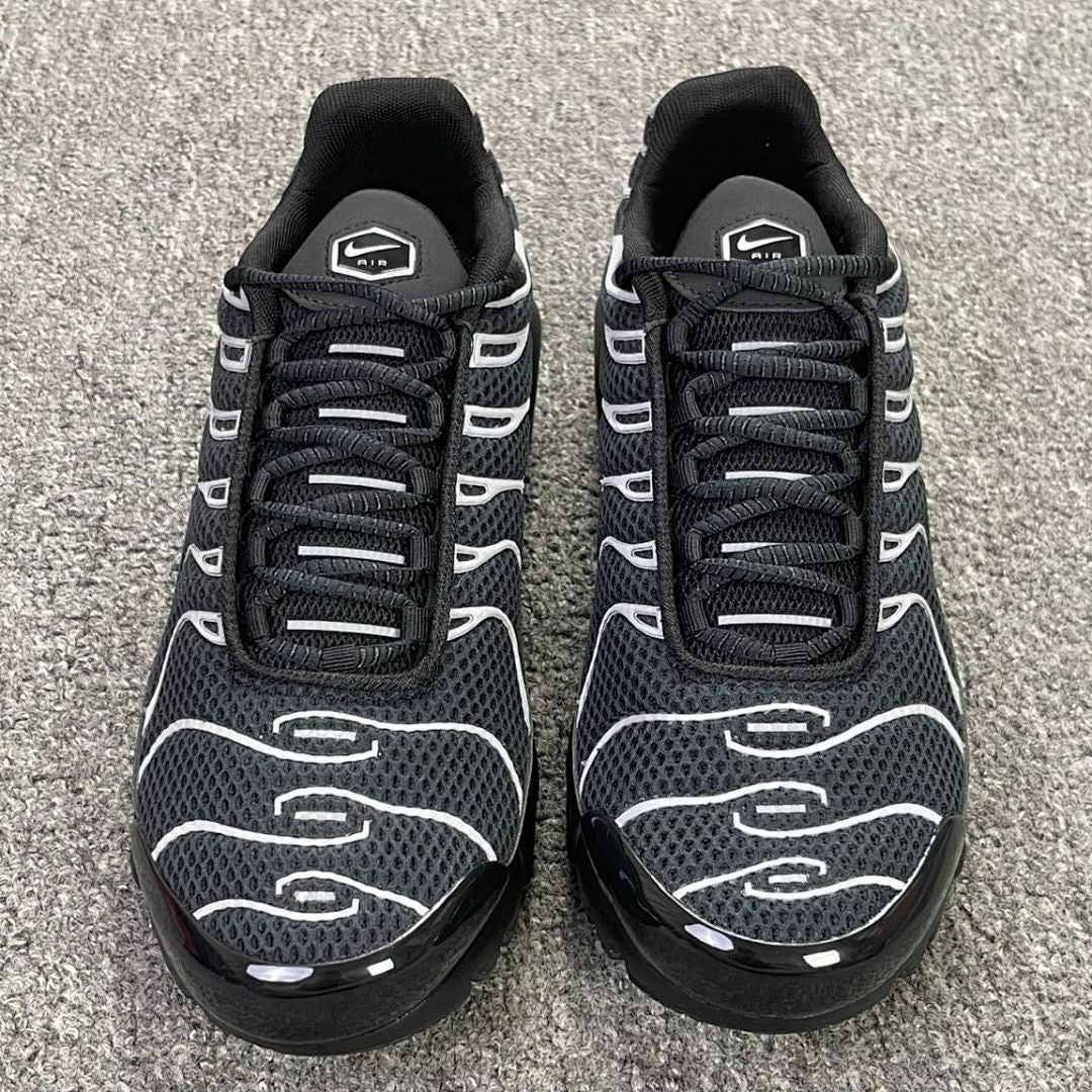 Nike Air Max Plus TN Black Metallic Silver CD0609-001