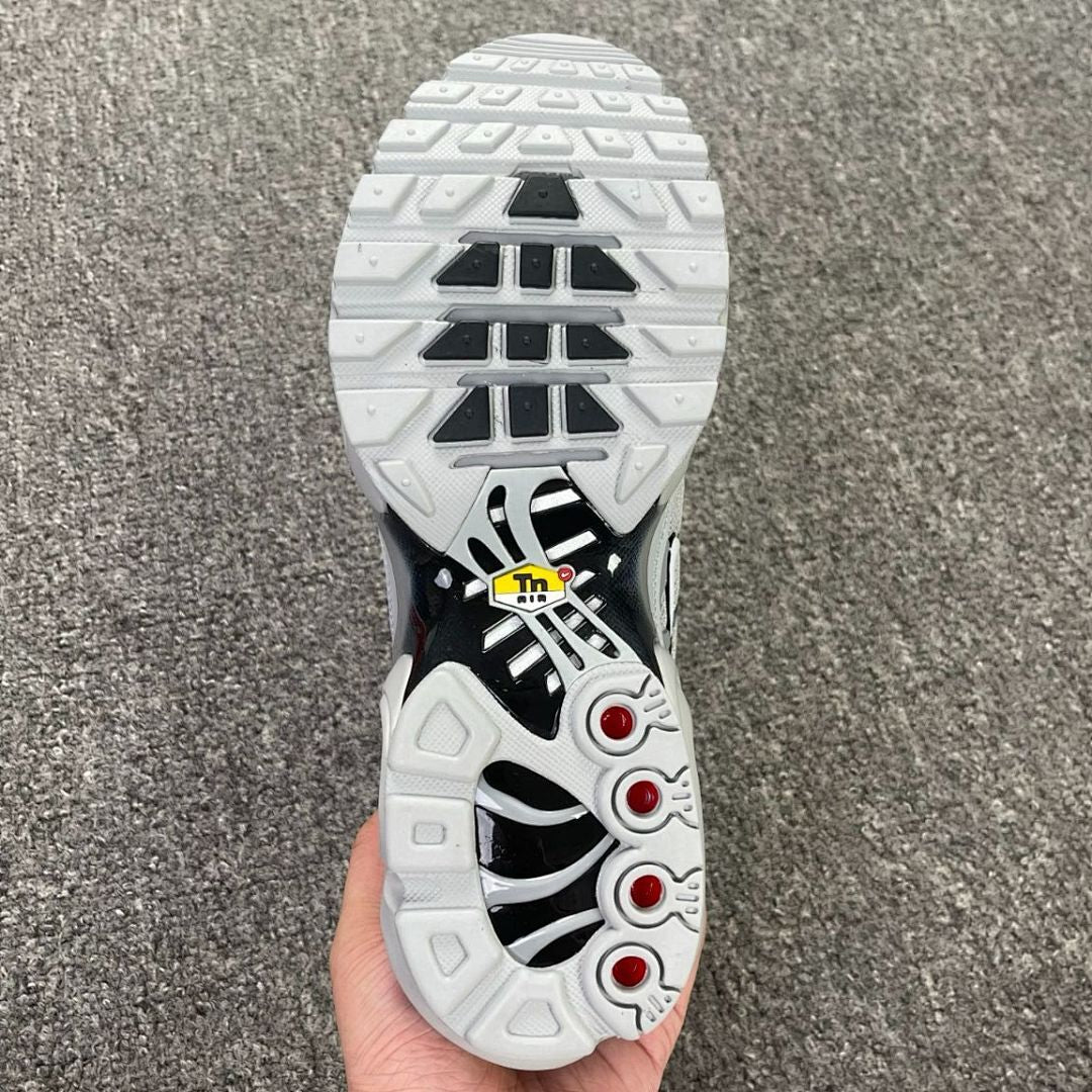 Nike Air Max Plus Wolf Grey Black DH4776-001