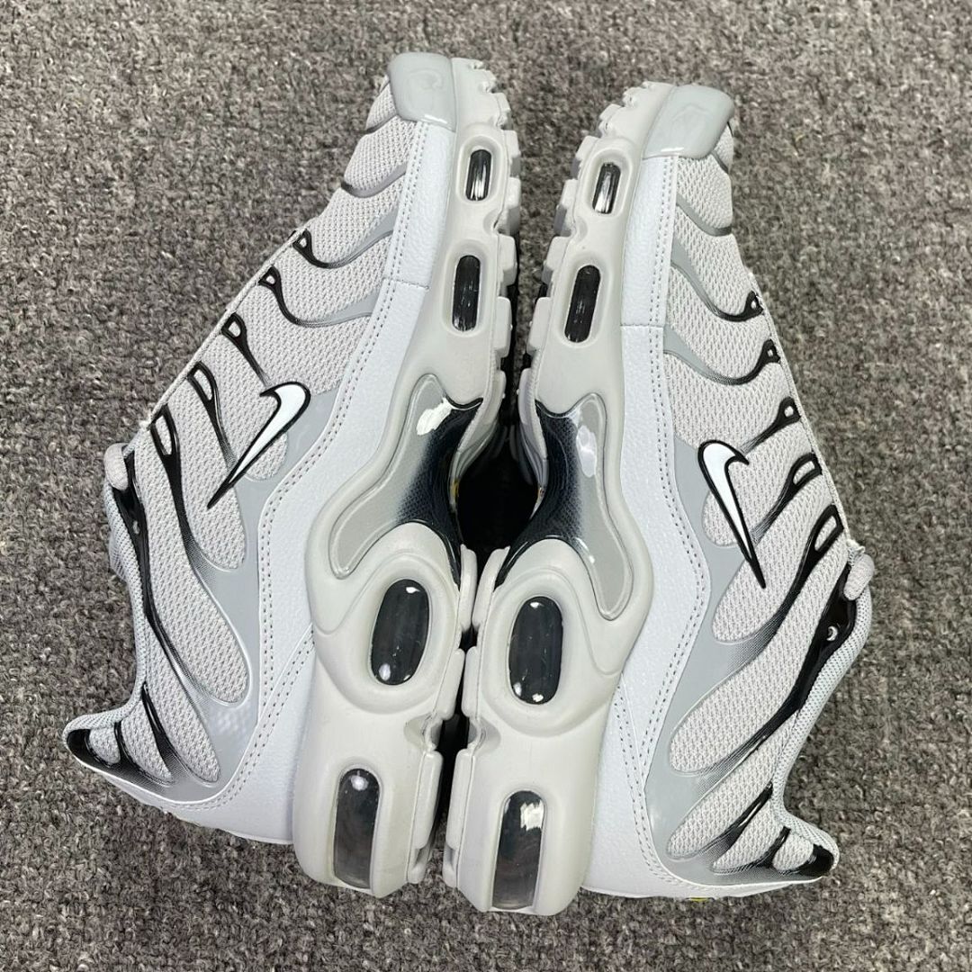 Nike Air Max Plus Wolf Grey Black DH4776-001