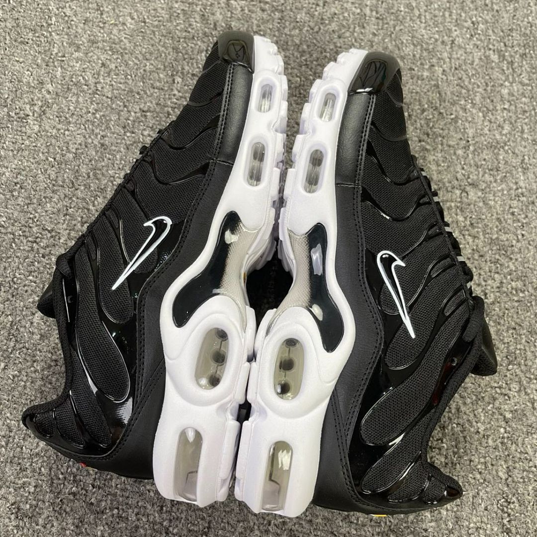 Nike Air Max Plus TN Black White Metallic Silver DQ0311-001