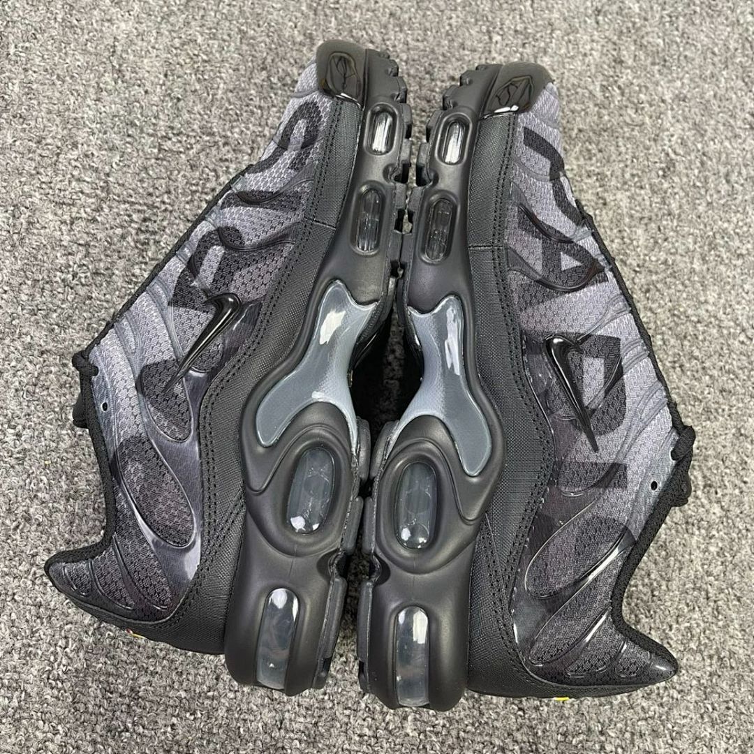 Nike Air Max Plus TN SE Big Logo Black Dark Grey AQ1088-002