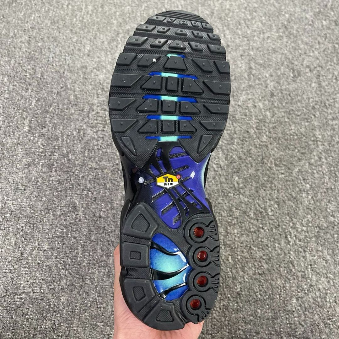 Nike Air Max Plus TN Triple Black 604133-050