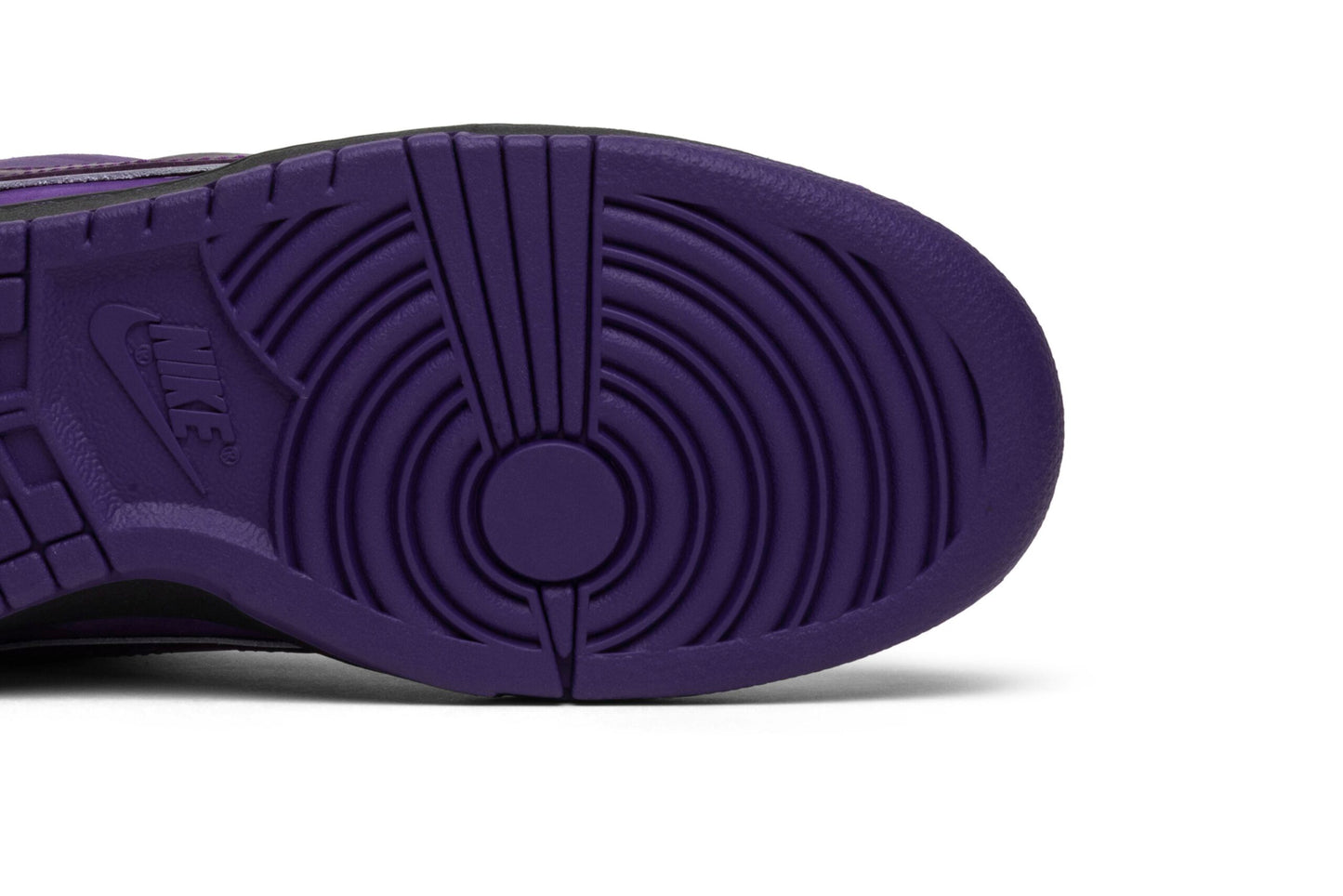 Concepts X Nike SB Dunk Low Purple Lobster BV1310-555