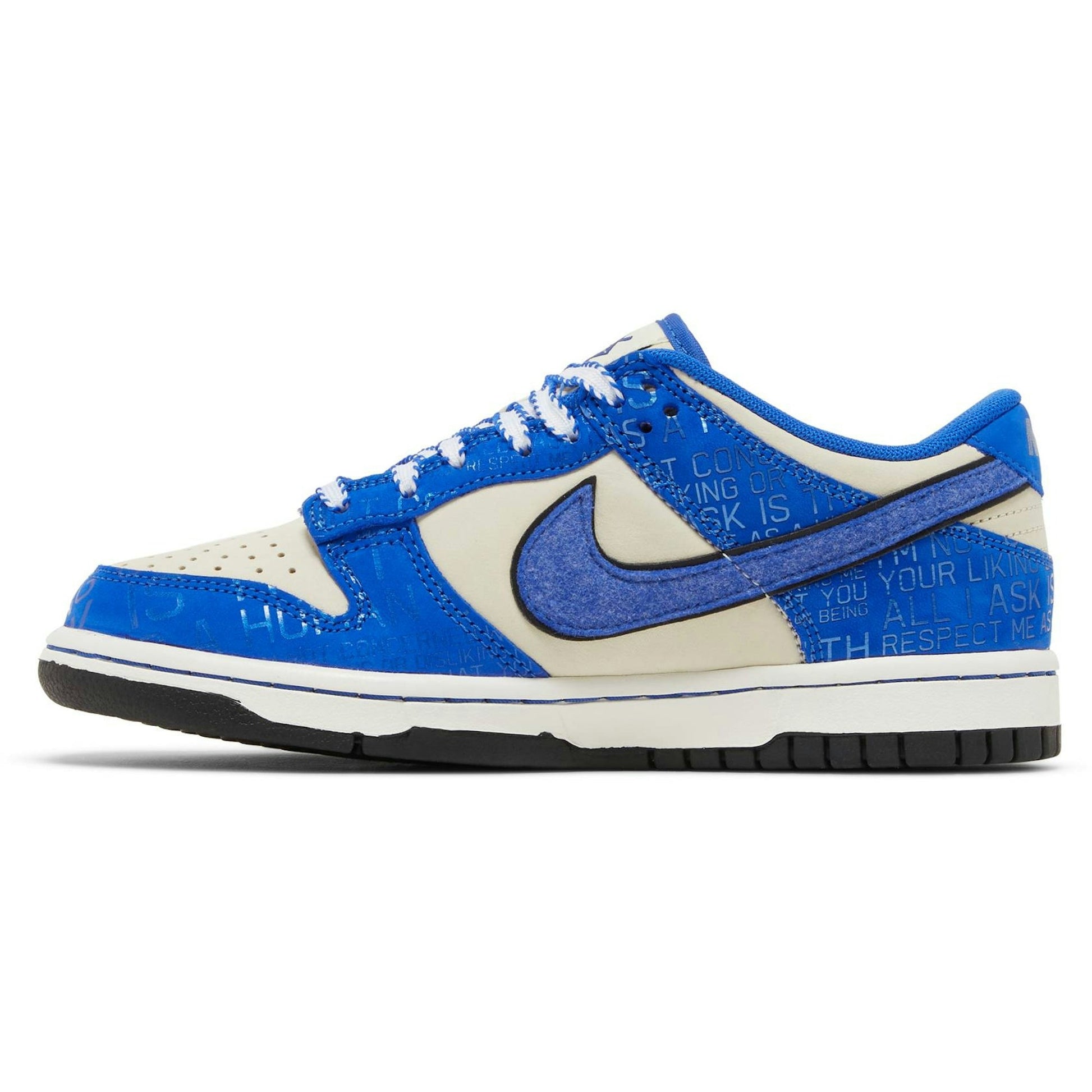 ( Grade School ) Nike Dunk Low Jackie Robinson DV2203-400