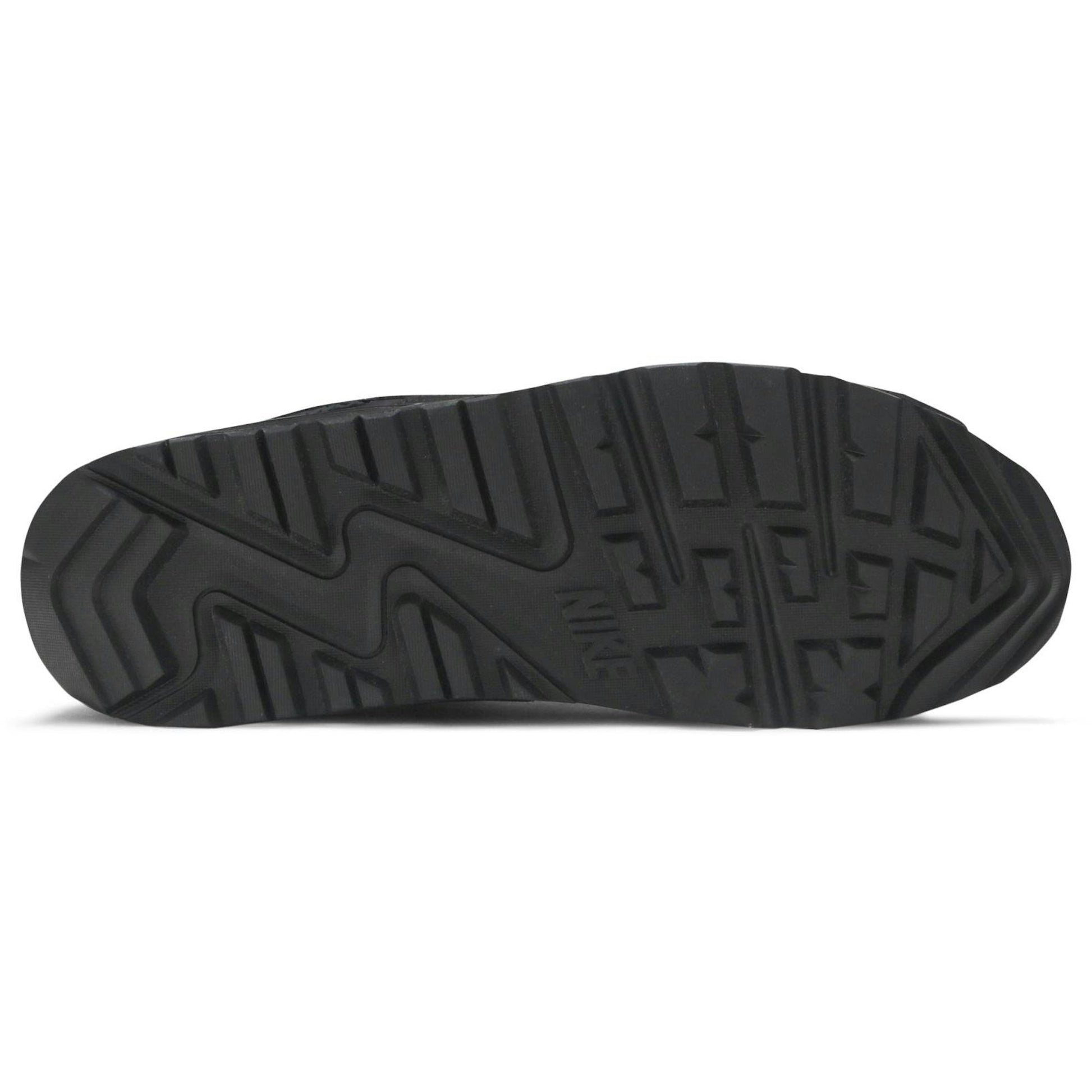 Nike Air Max 90 Surplus Black CQ7743-001