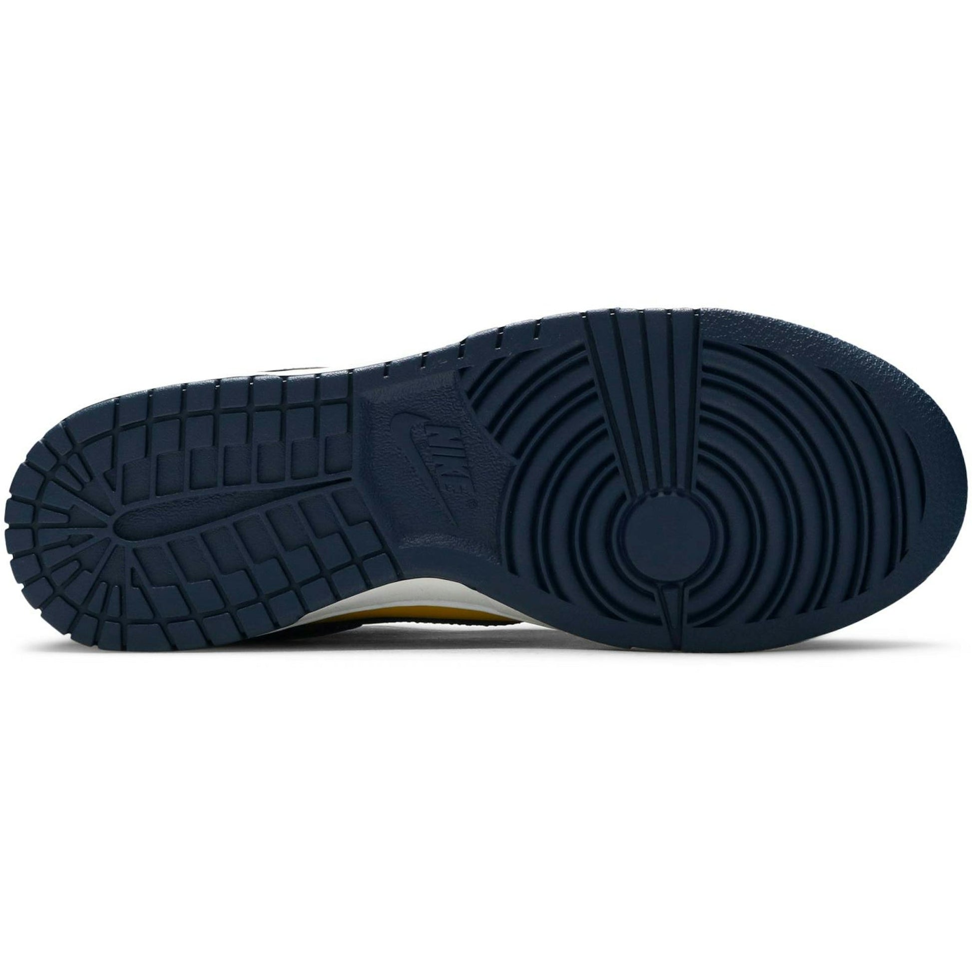 Nike Dunk Low Michigan 2021 DD1391-700
