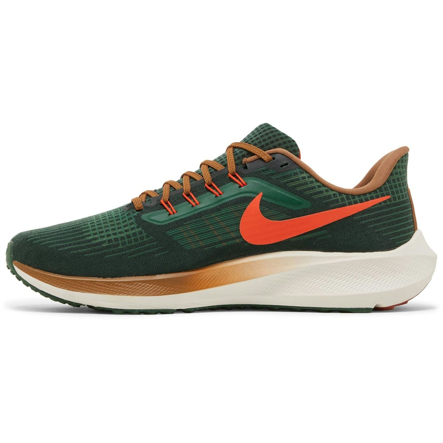 Hola Lou X Nike Air Zoom Pegasus 39 A.I.R. 'Gorge Green/Yell Brown' DO9500-300