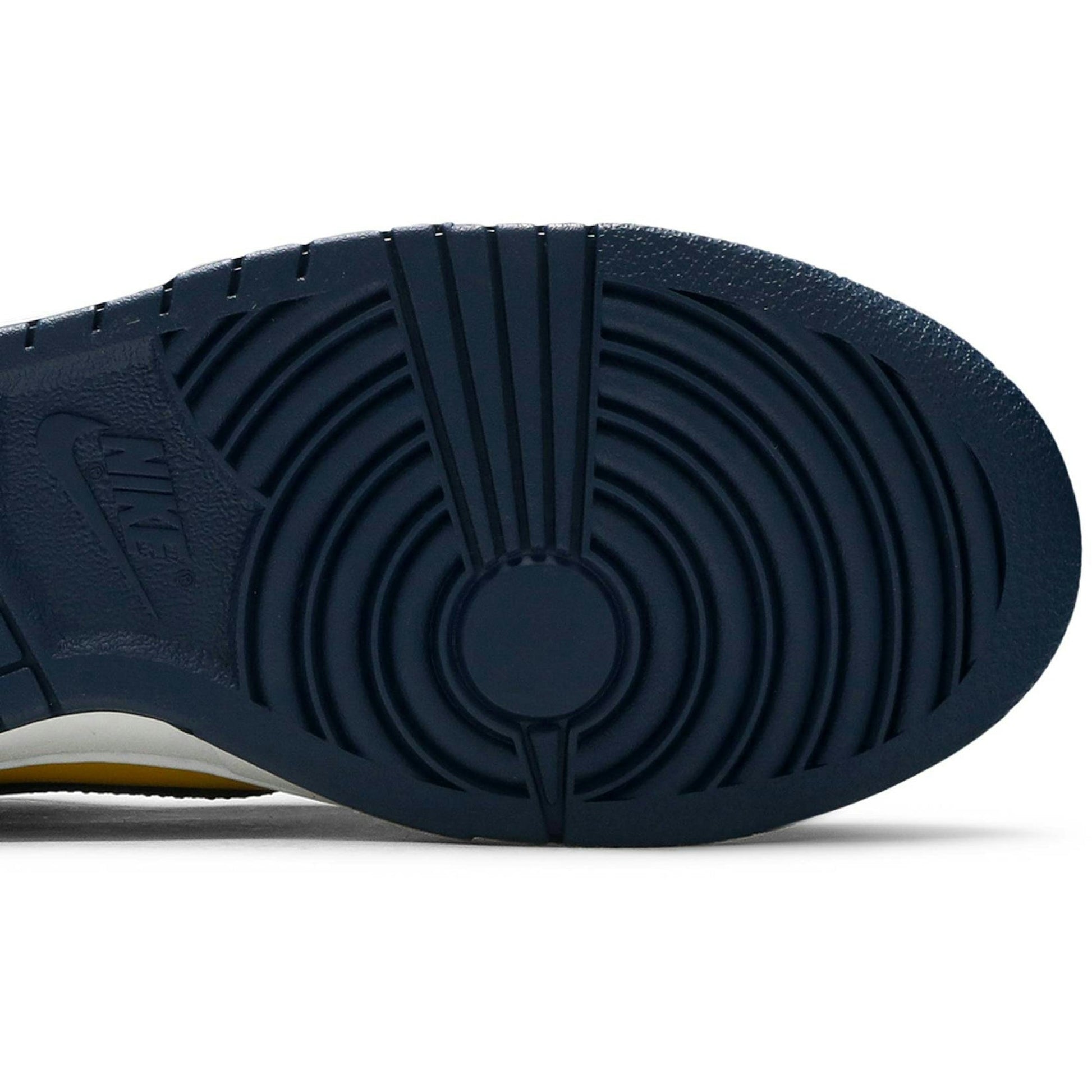 Nike Dunk Low Michigan 2021 DD1391-700