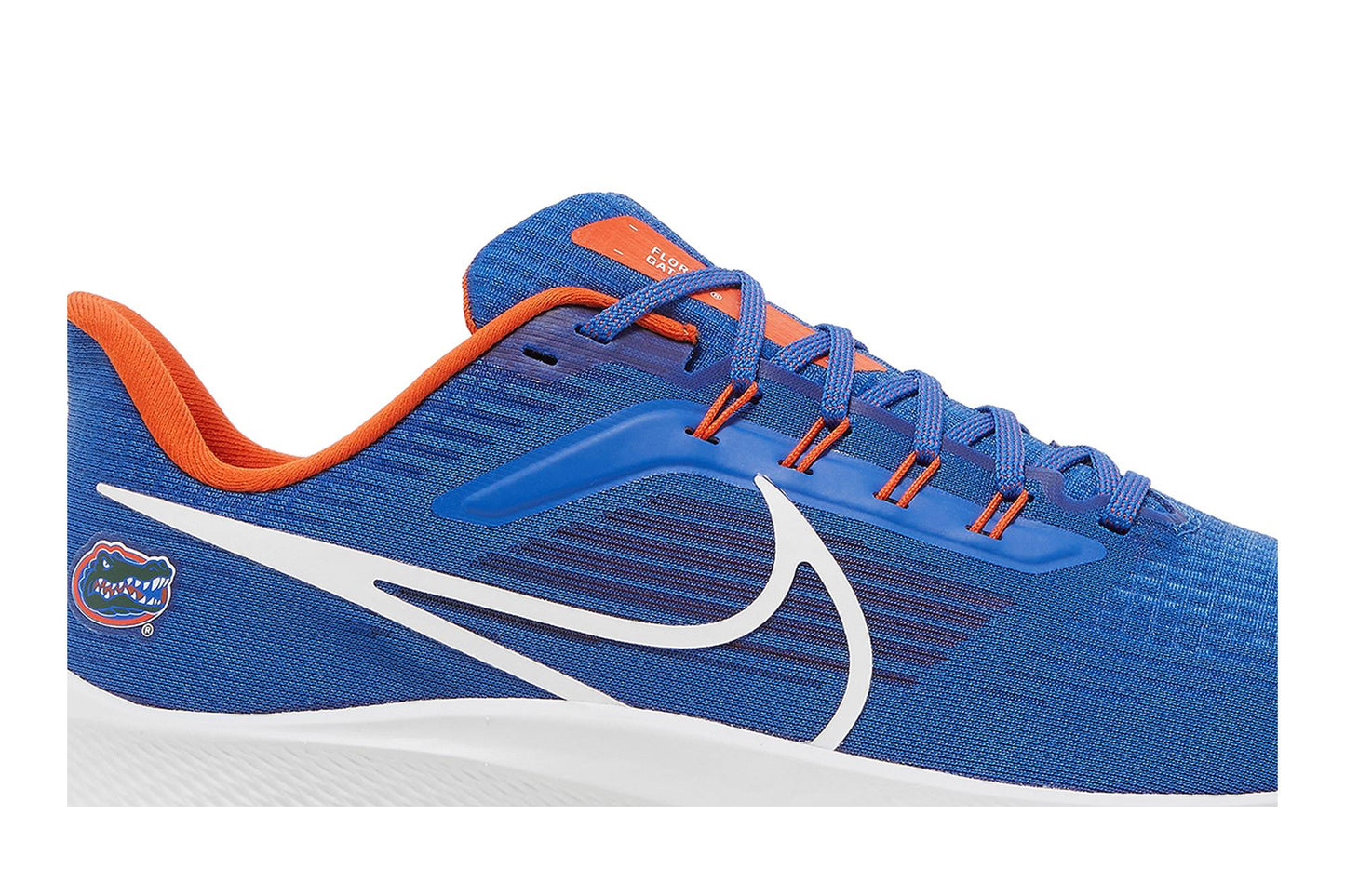 Nike Air Zoom Pegasus 39 Florida Gators DR1962-400