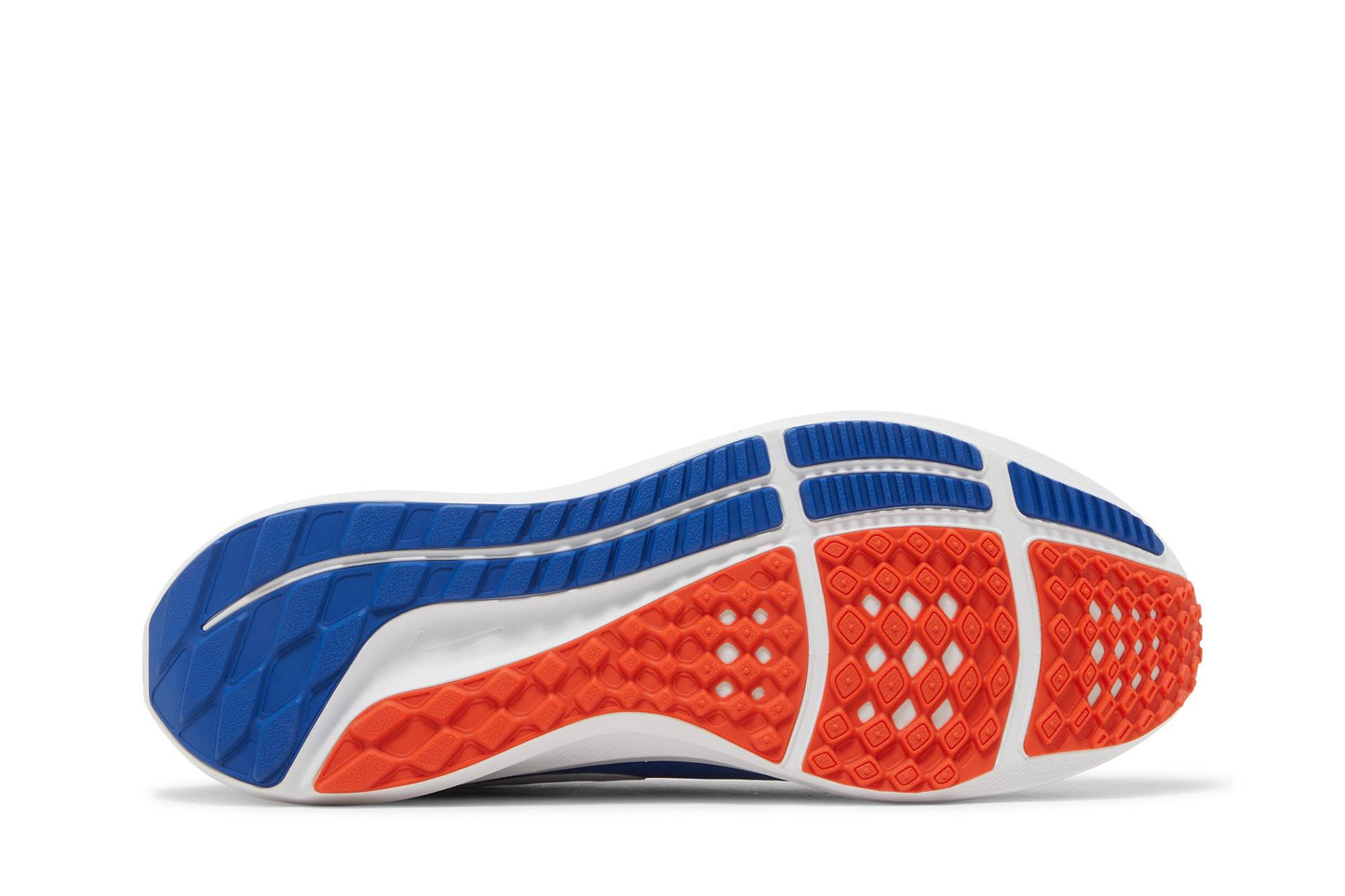 Nike Air Zoom Pegasus 39 Florida Gators DR1962-400