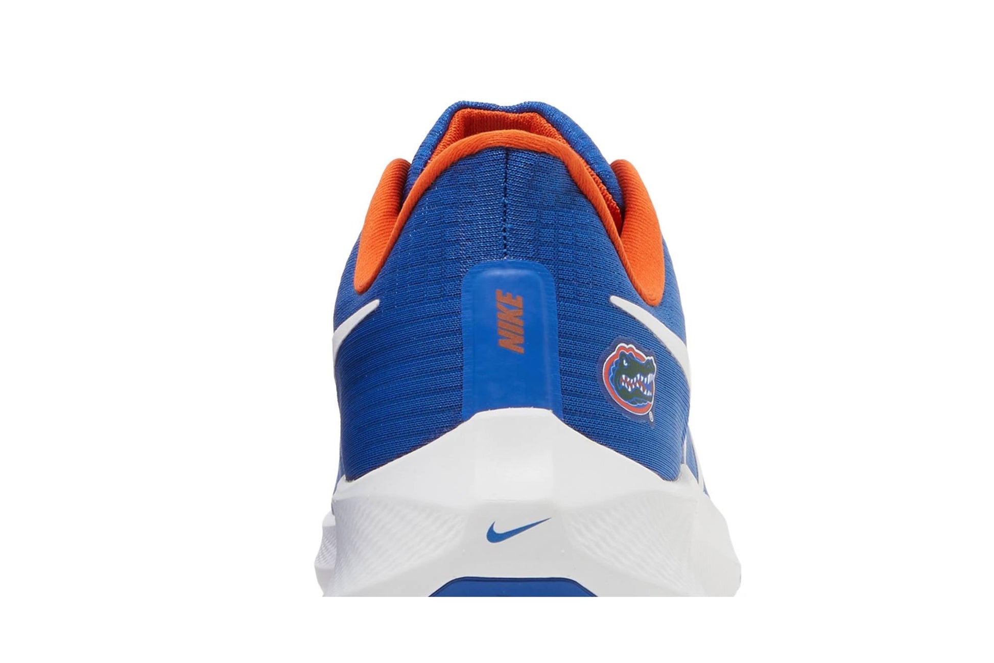Nike Air Zoom Pegasus 39 Florida Gators DR1962-400