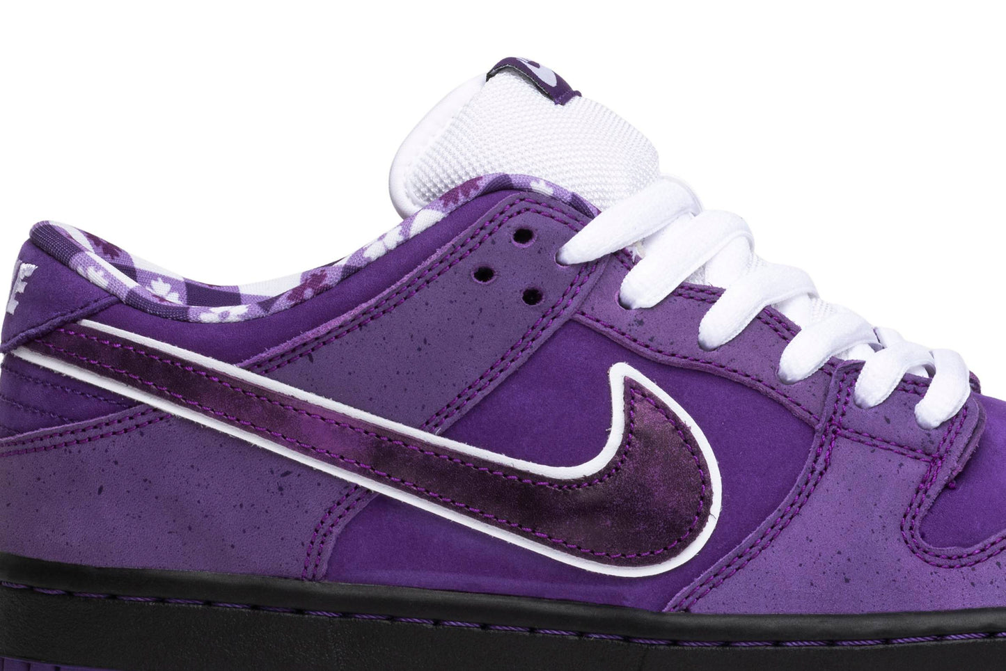Concepts X Nike SB Dunk Low Purple Lobster BV1310-555