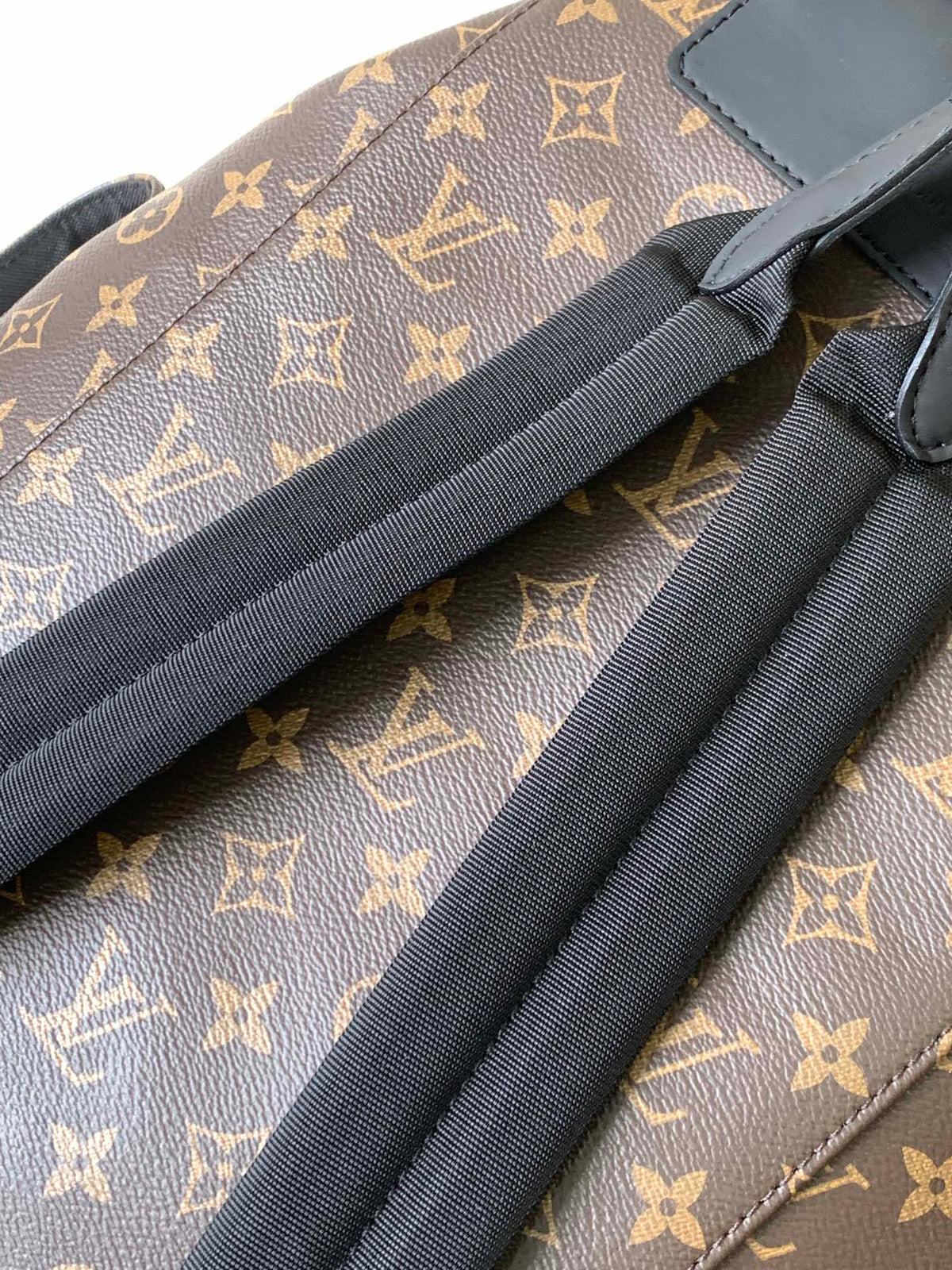 Louis Vuitton Christopher PM Backpack Monogram Macassar Canvas
