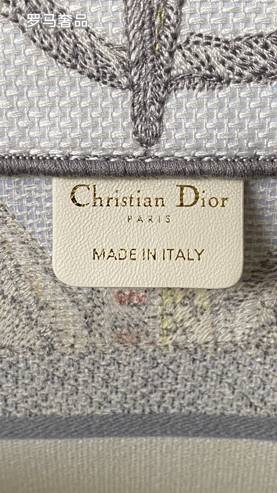 Dior Luxury Embroidered Canvas Tote Bag with Constellation Star Print