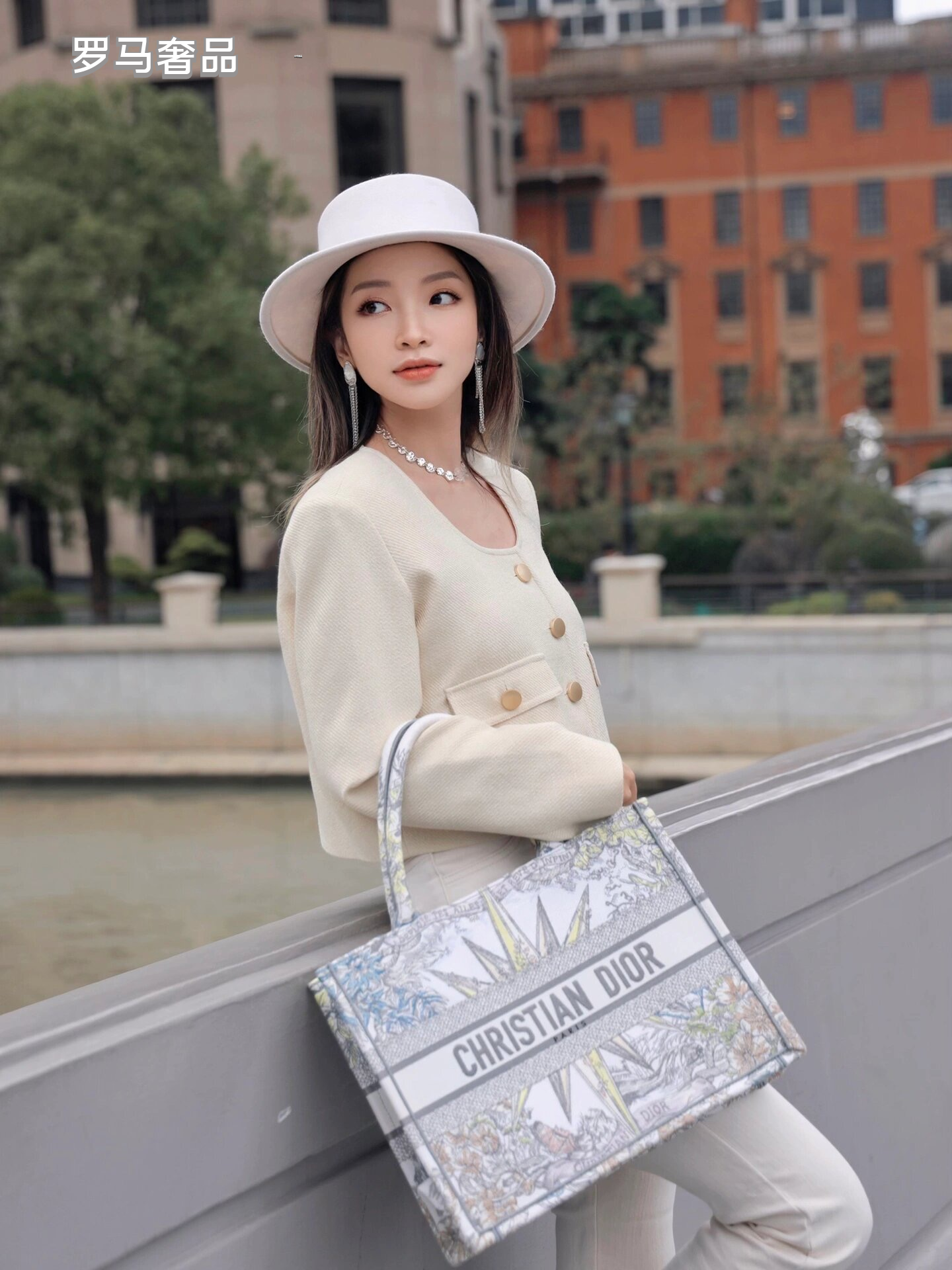 Dior Luxury Embroidered Canvas Tote Bag with Constellation Star Print