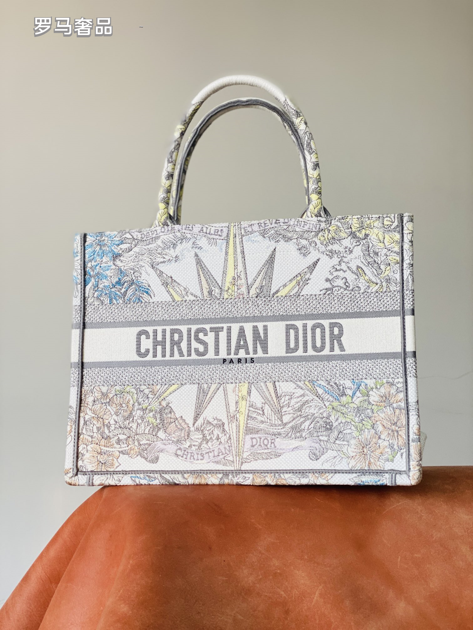 Dior Luxury Embroidered Canvas Tote Bag with Constellation Star Print